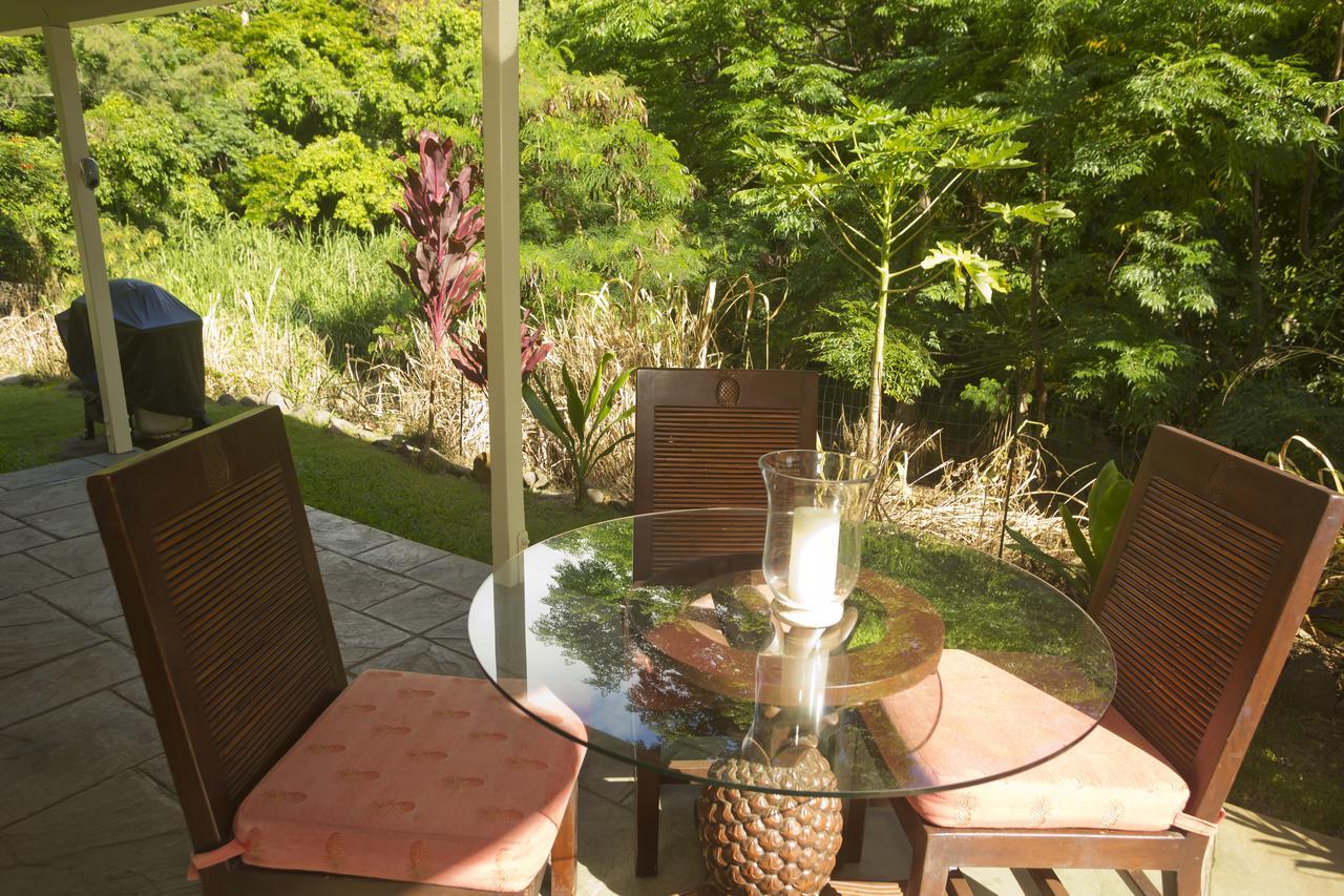 Iao Valley Inn 와일루쿠 외부 사진