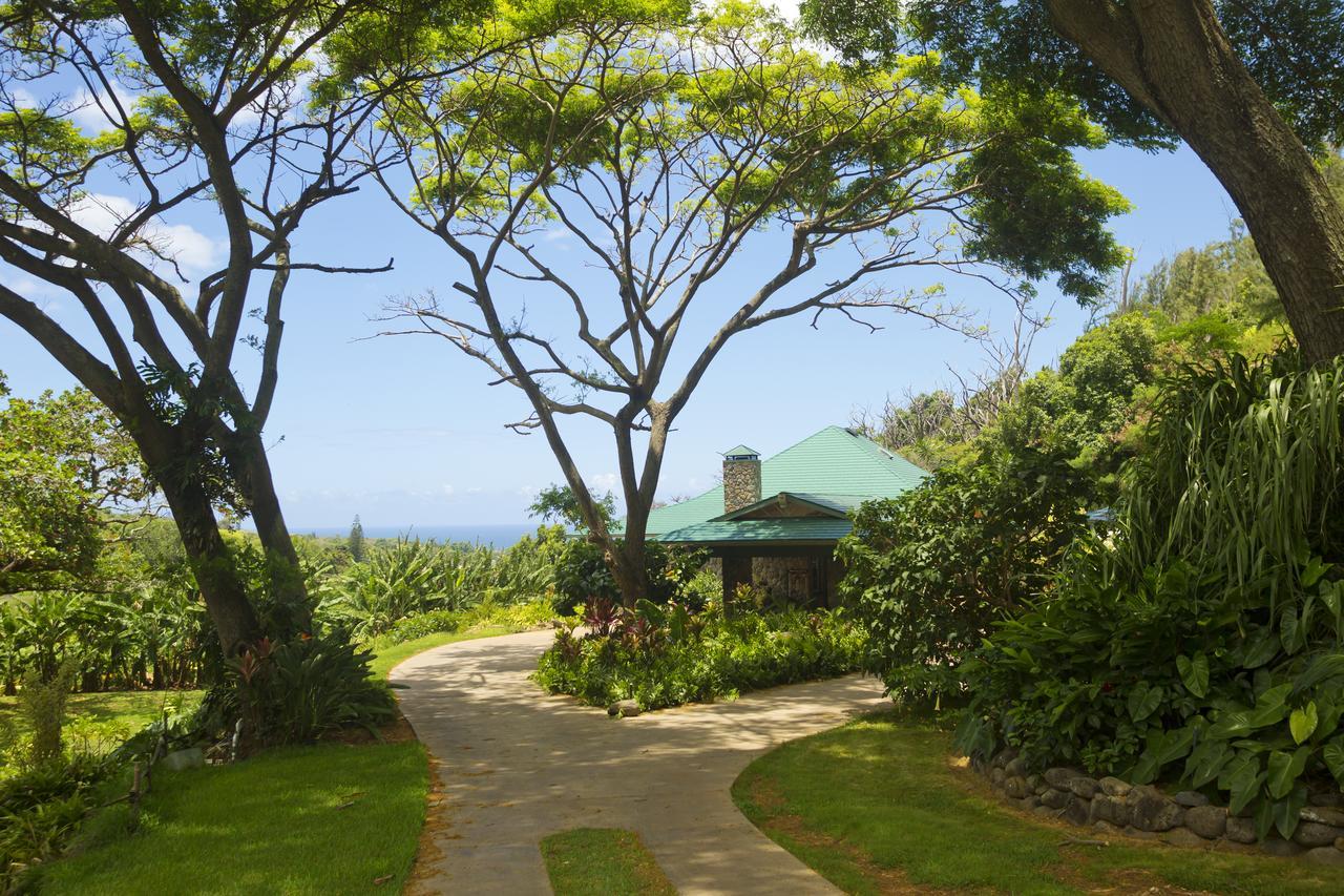 Iao Valley Inn 와일루쿠 외부 사진